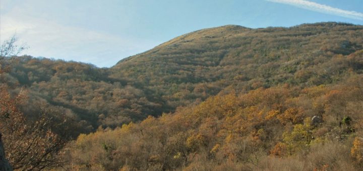 vremenska prognoza - serbianmeteo