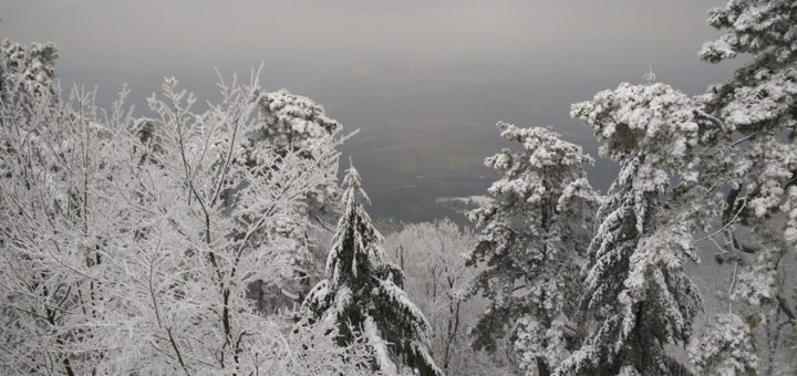 vremenska prognoza - SebianMeteo